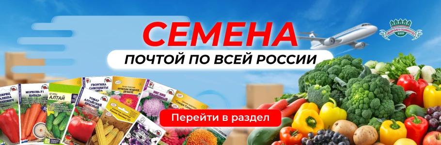 Хиты продаж